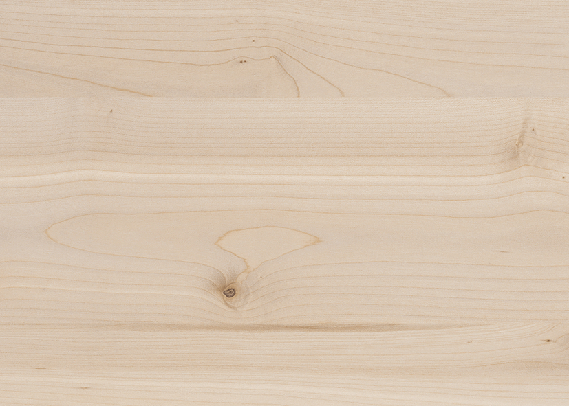 Norway Maple Effect